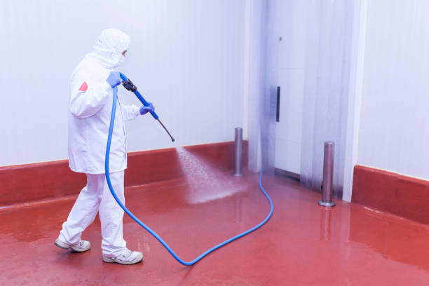 Best Solar Panel Cleaning  in Walkerton, IN