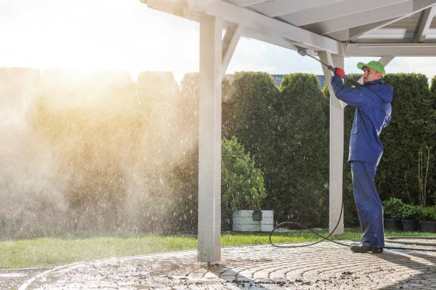 Best Gutter Cleaning  in Walkerton, IN